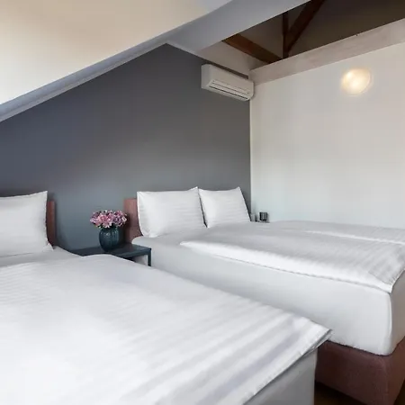 Bohemian Dreams And By Dwellfort Hotel apartamentowy Praga